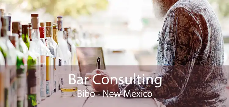 Bar Consulting Bibo - New Mexico