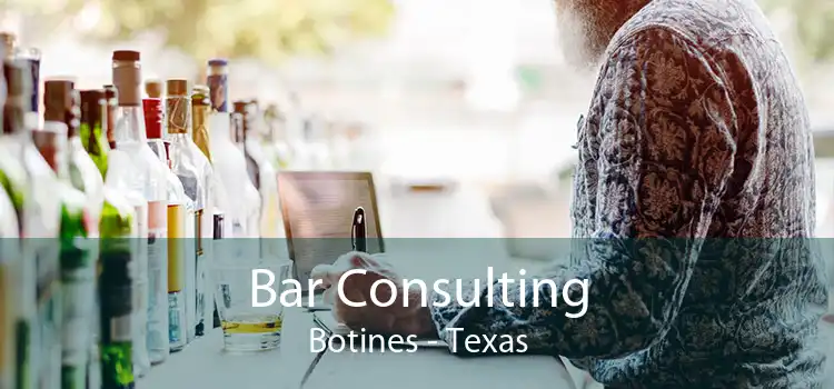 Bar Consulting Botines - Texas