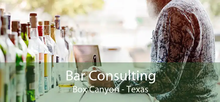 Bar Consulting Box Canyon - Texas