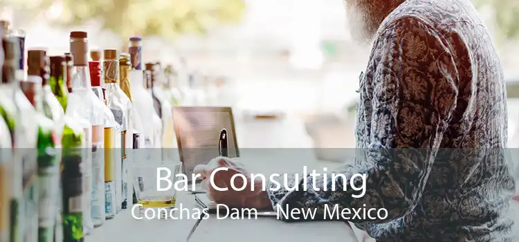 Bar Consulting Conchas Dam - New Mexico