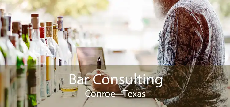 Bar Consulting Conroe - Texas