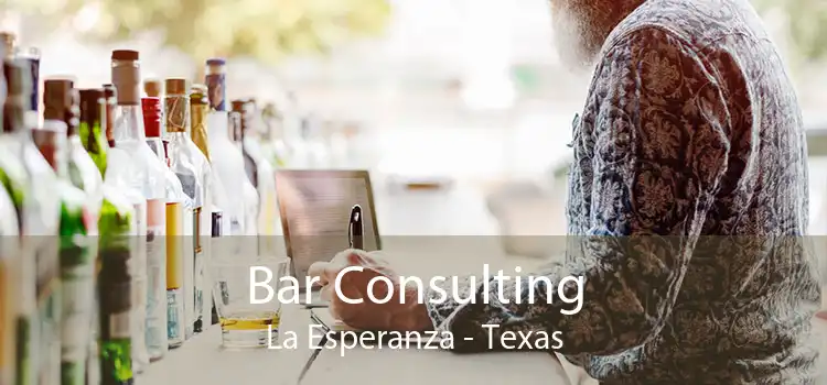Bar Consulting La Esperanza - Texas