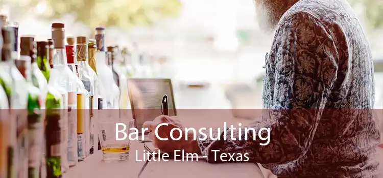 Bar Consulting Little Elm - Texas