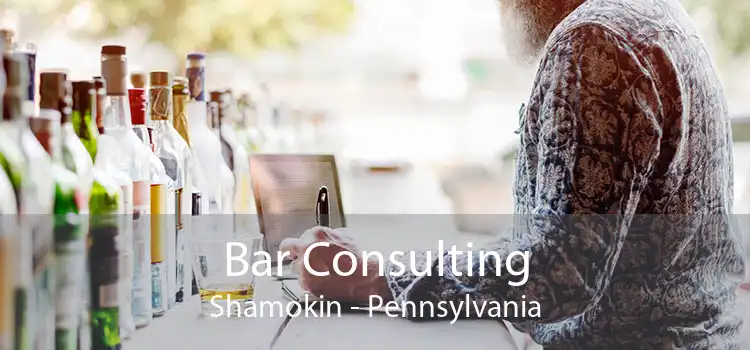 Bar Consulting Shamokin - Pennsylvania