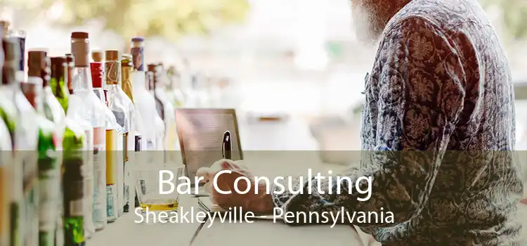 Bar Consulting Sheakleyville - Pennsylvania