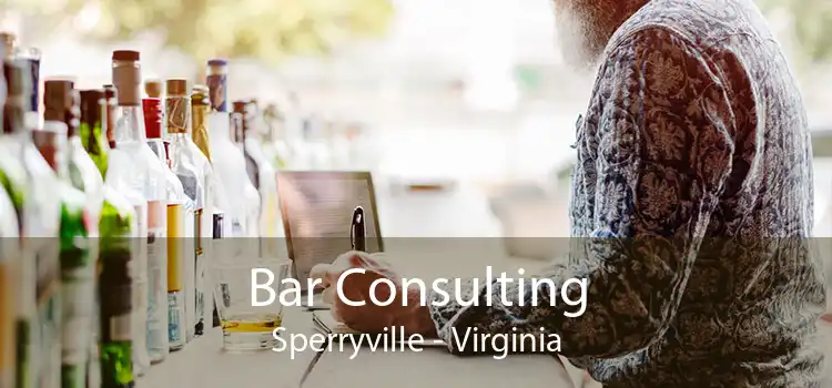 Bar Consulting Sperryville - Virginia