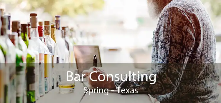Bar Consulting Spring - Texas