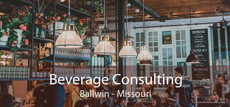 Beverage Consulting Ballwin - Missouri