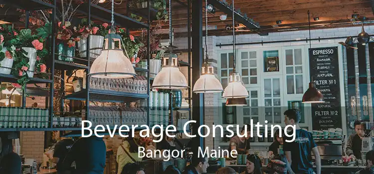 Beverage Consulting Bangor - Maine
