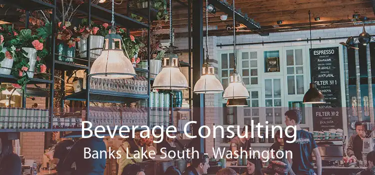 Beverage Consulting Banks Lake South - Washington