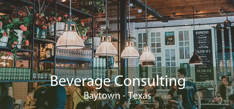 Beverage Consulting Baytown - Texas