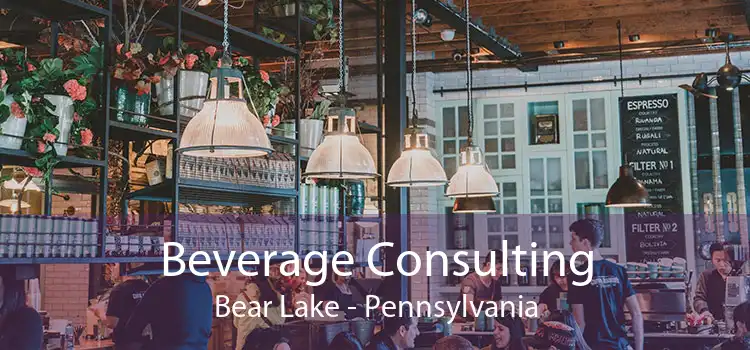 Beverage Consulting Bear Lake - Pennsylvania