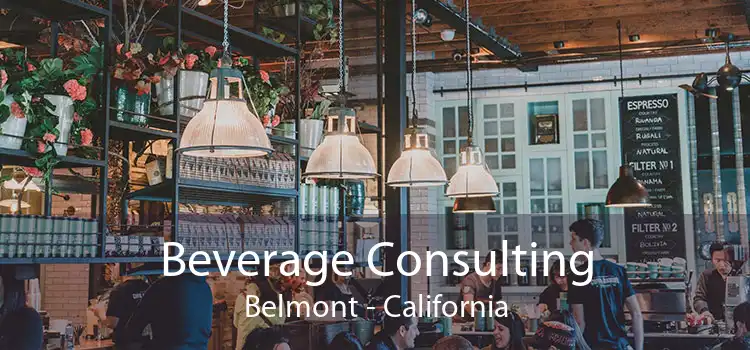 Beverage Consulting Belmont - California