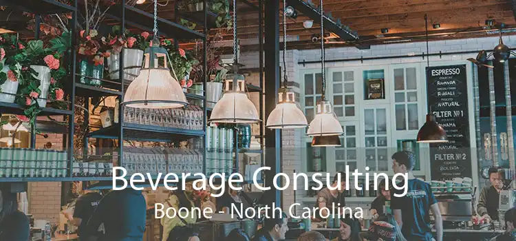 Beverage Consulting Boone - North Carolina