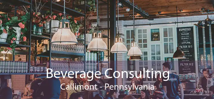 Beverage Consulting Callimont - Pennsylvania