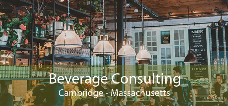 Beverage Consulting Cambridge - Massachusetts