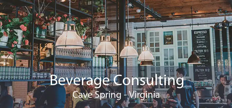 Beverage Consulting Cave Spring - Virginia