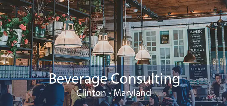 Beverage Consulting Clinton - Maryland