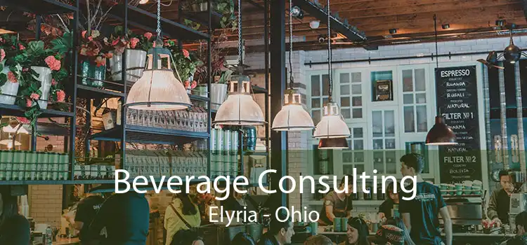 Beverage Consulting Elyria - Ohio