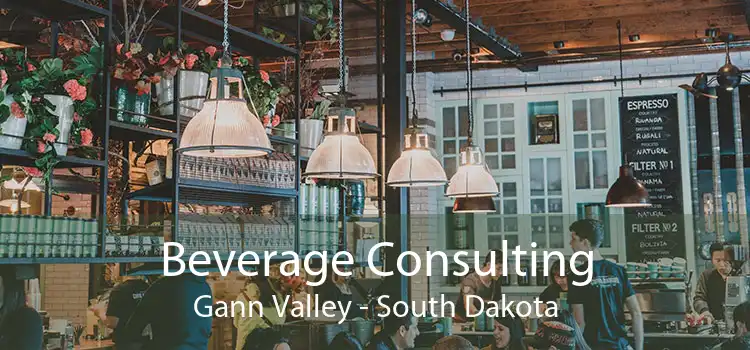 Beverage Consulting Gann Valley - South Dakota