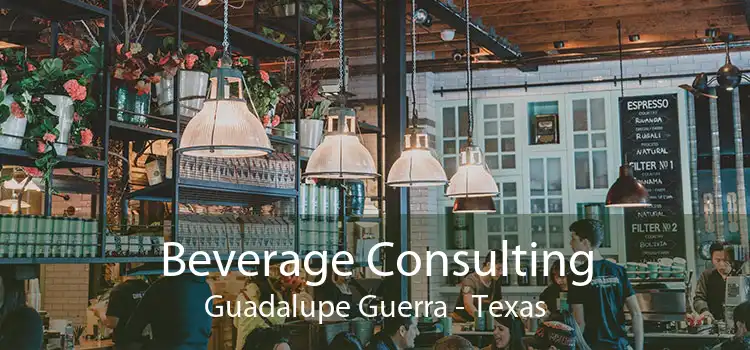 Beverage Consulting Guadalupe Guerra - Texas