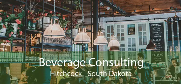 Beverage Consulting Hitchcock - South Dakota