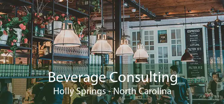 Beverage Consulting Holly Springs - North Carolina
