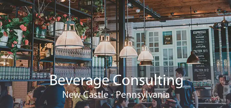 Beverage Consulting New Castle - Pennsylvania