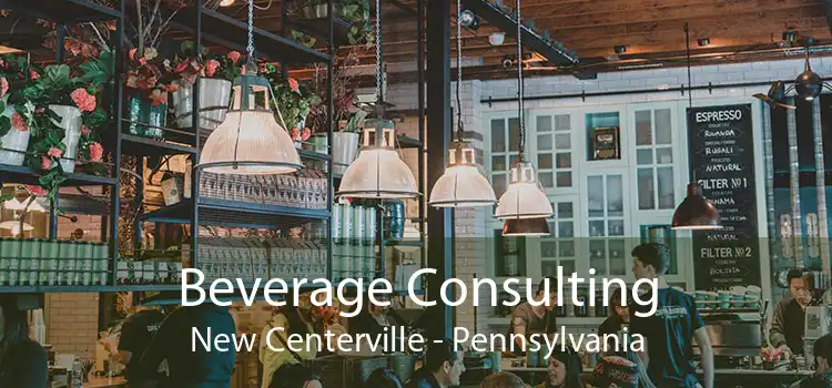 Beverage Consulting New Centerville - Pennsylvania