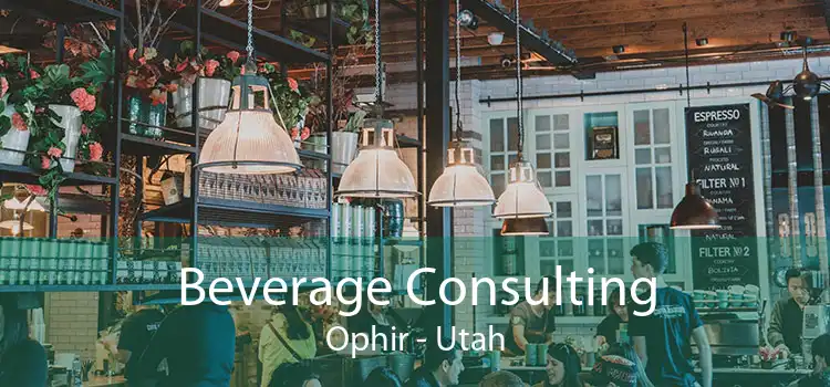 Beverage Consulting Ophir - Utah