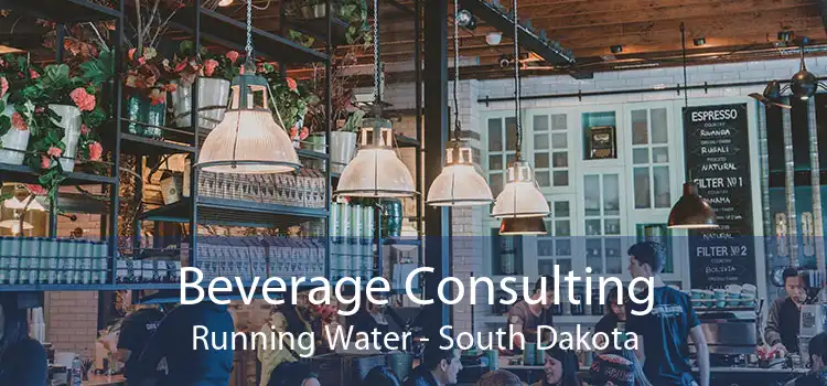 Beverage Consulting Running Water - South Dakota