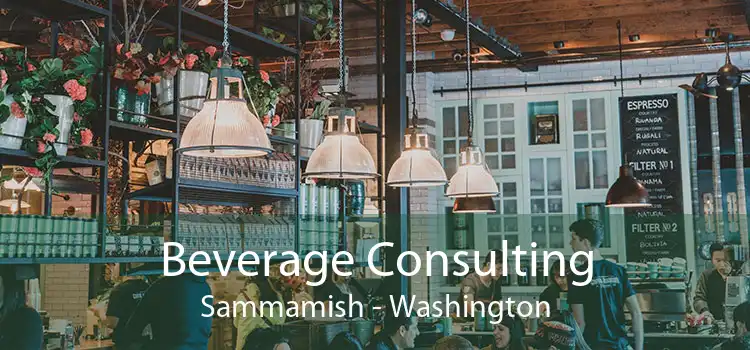 Beverage Consulting Sammamish - Washington