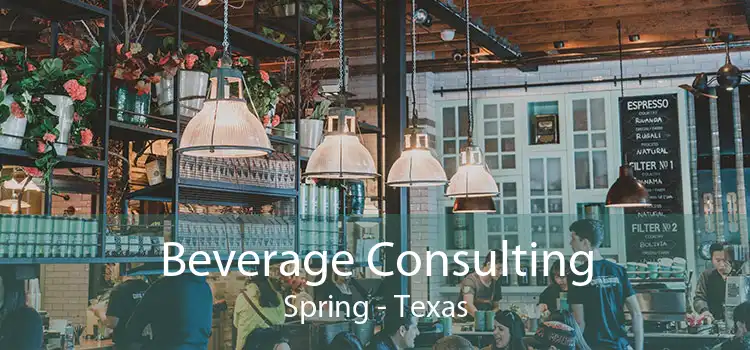 Beverage Consulting Spring - Texas