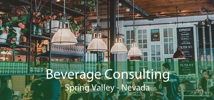 Beverage Consulting Spring Valley - Nevada