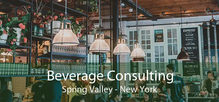 Beverage Consulting Spring Valley - New York