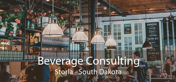 Beverage Consulting Storla - South Dakota