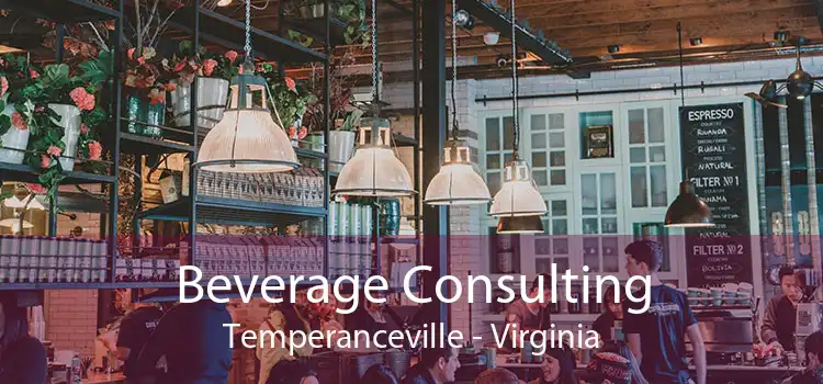Beverage Consulting Temperanceville - Virginia
