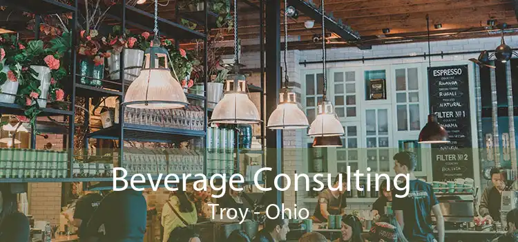 Beverage Consulting Troy - Ohio
