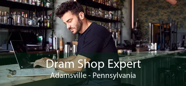 Dram Shop Expert Adamsville - Pennsylvania
