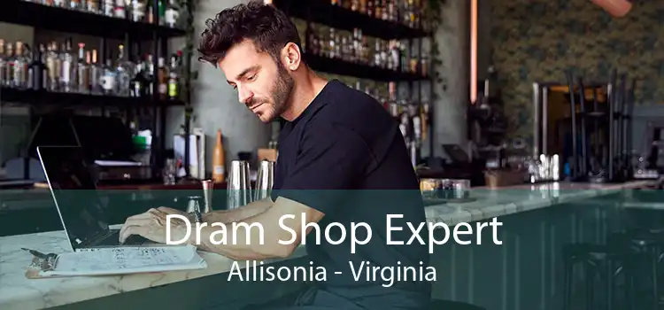 Dram Shop Expert Allisonia - Virginia