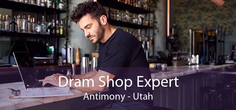 Dram Shop Expert Antimony - Utah