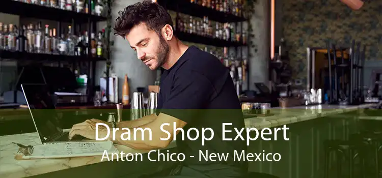 Dram Shop Expert Anton Chico - New Mexico