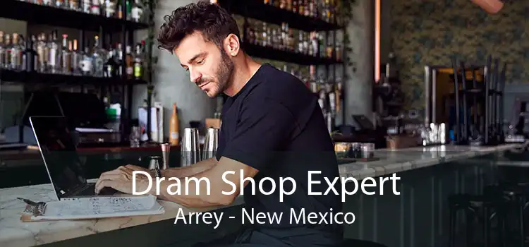 Dram Shop Expert Arrey - New Mexico