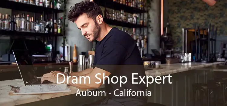 Dram Shop Expert Auburn - California
