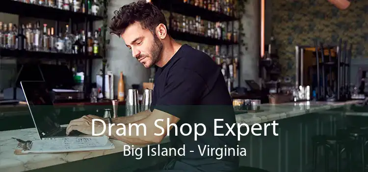 Dram Shop Expert Big Island - Virginia