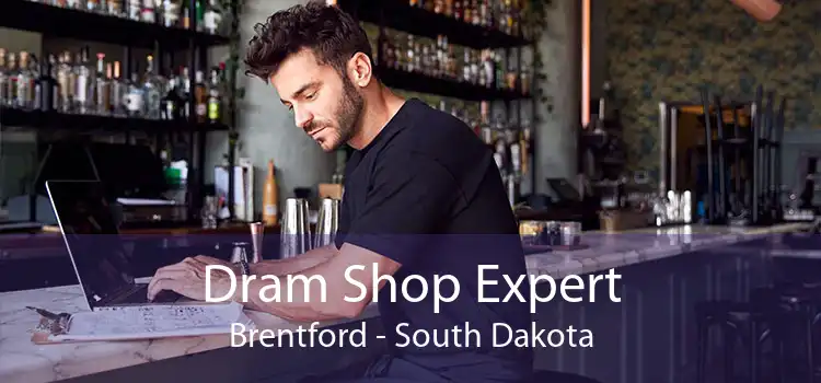 Dram Shop Expert Brentford - South Dakota