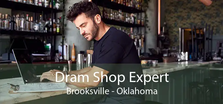 Dram Shop Expert Brooksville - Oklahoma