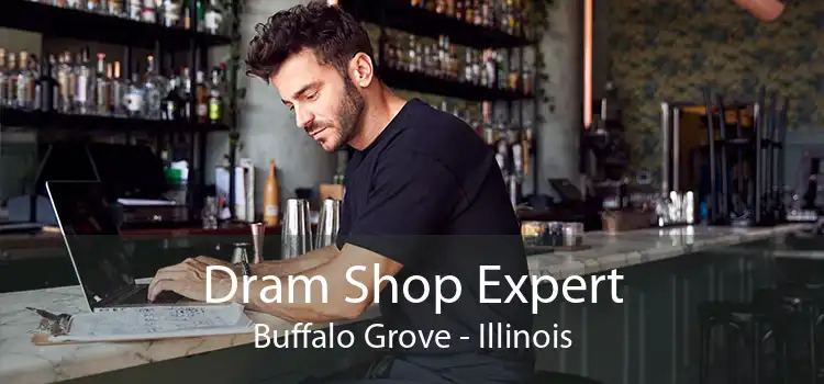 Dram Shop Expert Buffalo Grove - Illinois