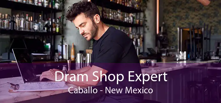 Dram Shop Expert Caballo - New Mexico