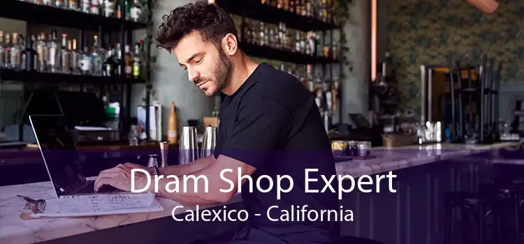 Dram Shop Expert Calexico - California